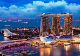 旺财28APP电脑免费版