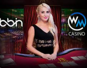 旺财28APP电脑免费版